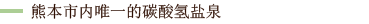 熊本市内唯一的碳酸氢盐泉